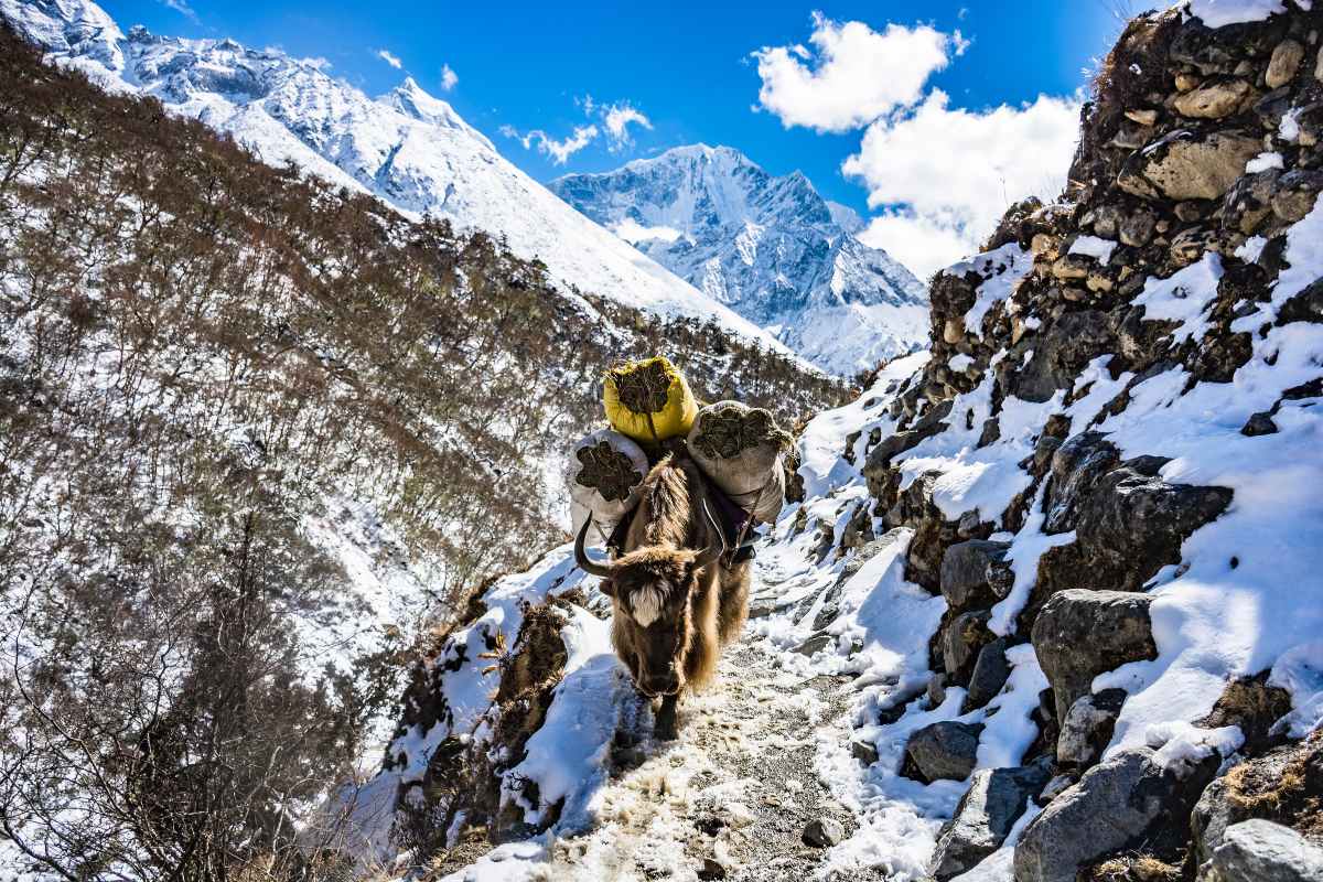 What's The Worst Time To Visit Nepal?